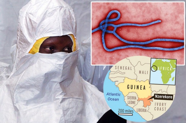 2014-ebola-virus