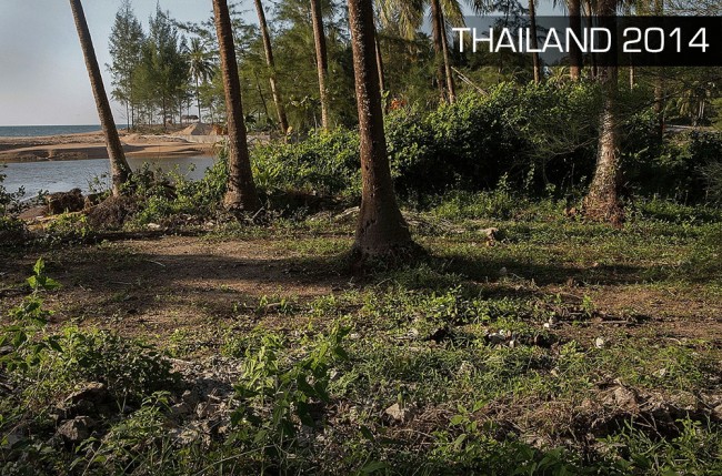 tsunami-thailand-11-2014-11