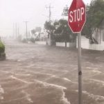Danh sách thương vong vì bão Irma ở Florida đã mở….
