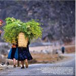 Canon phát động cuộc thi ảnh Di sản Việt Nam – Vietnam Heritage Photo Awards 2018
