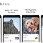 “Mắt thần điện tử” Google Lens: phương thức tìm thông tin và học thông minh hơn