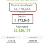 Số bệnh nhân COVID-19 trên thế giới đã vượt mốc 44 triệu người