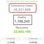 Số bệnh nhân COVID-19 trên thế giới đã vượt mốc 45 triệu người