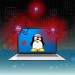 Cảnh báo: Xuất hiện nhiều biến thể virus Elknot đe dọa các máy chủ Linux Việt Nam