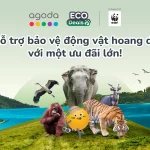 Agoda mở rộng quan hệ đối tác với WWF và cam kết 1 triệu USD cho bảo tồn động vật hoang dã