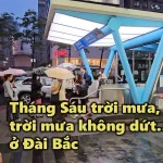 VIDEO: Tháng Sáu trời mưa, trời mưa không dứt… ở Đài Bắc