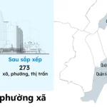 Sáp nhập phường và ứng dụng công dân số