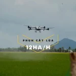 Drone bay đầy đồng, nông nghiệp cất cánh